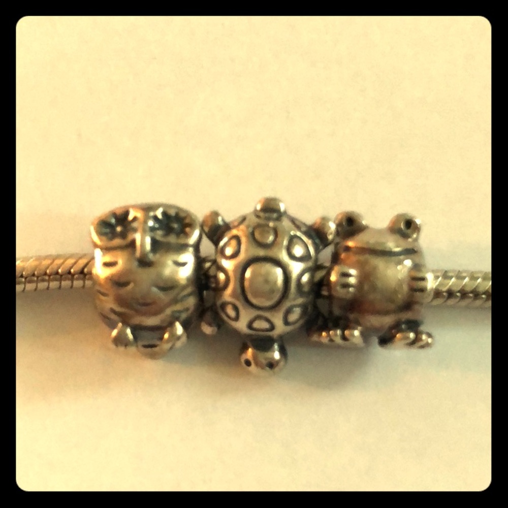 3 Retired Pandora Charms. $25 🐸 🦉 🐢